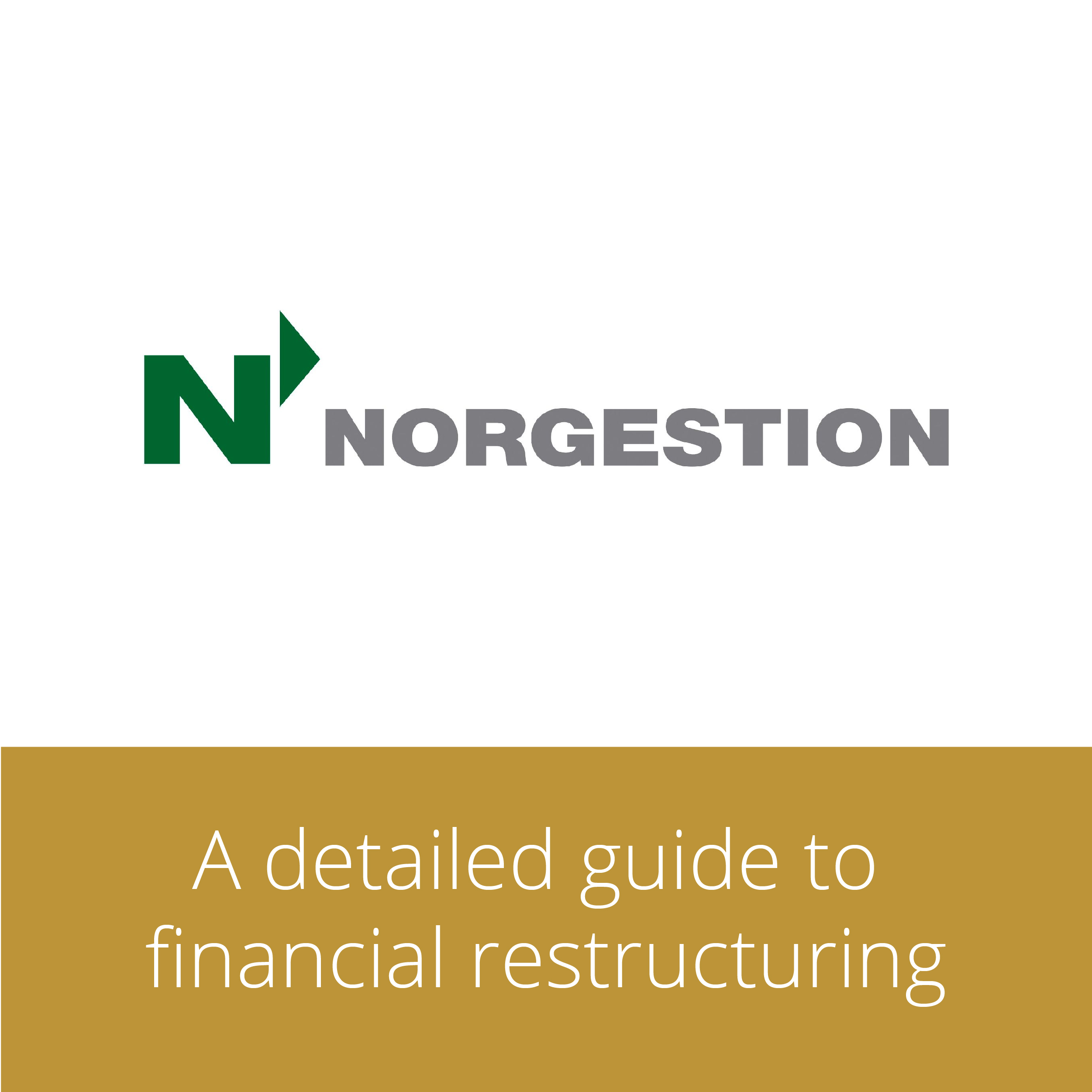 Thumbnail for Norgestion: a detailed guide to financial restructuring