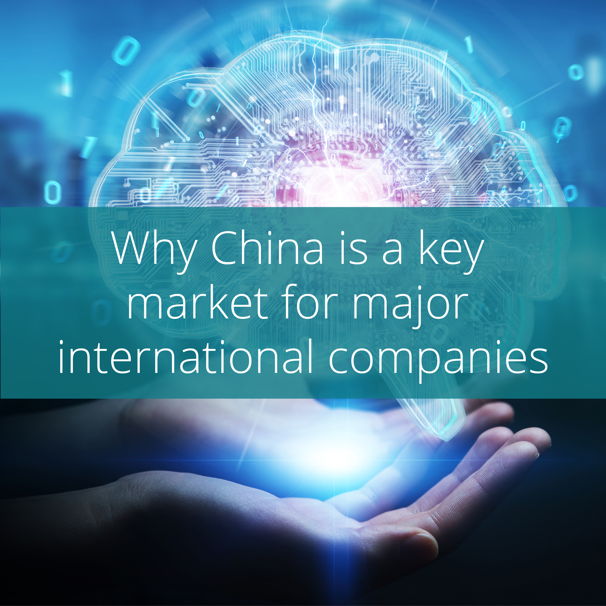 Thumbnail for Why China is a key market for major international companies