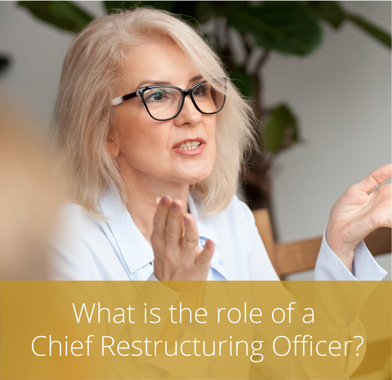 Thumbnail for What is the role of a Chief Restructuring Officer?